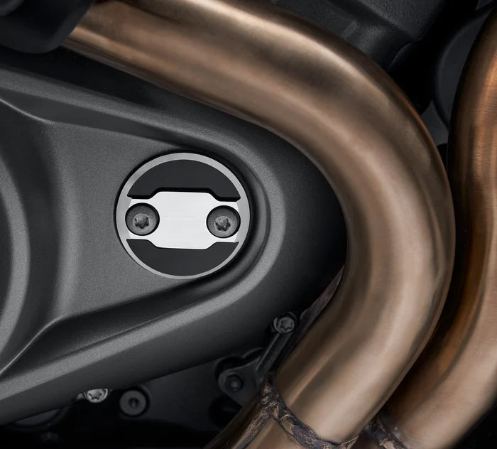 Harley-Davidson® Wild One Timer Medallion