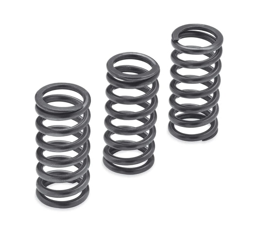 Harley-Davidson® Milwaukee-Eight Engine Clutch Springs - 1275N