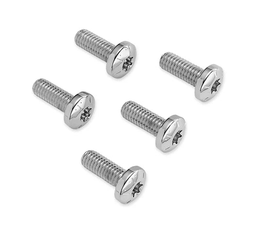 Harley-Davidson® Chrome Rear Brake Disc Hardware Kit