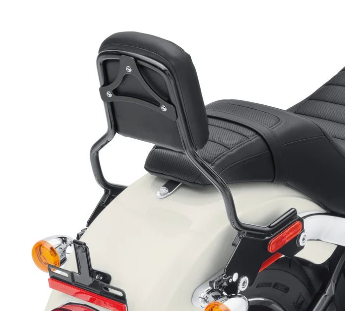 Harley-Davidson® HoldFast Sissy Bar Upright - Standard Height - Gloss Black