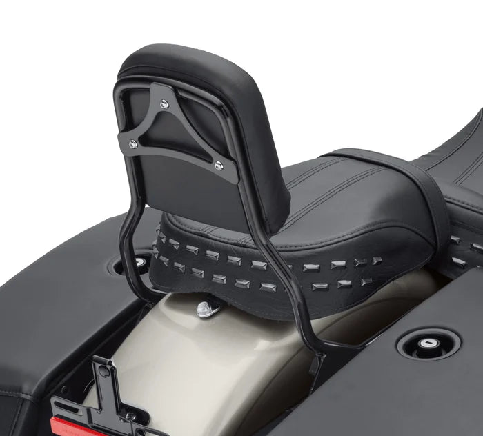 Harley-Davidson® HoldFast Sissy Bar Upright - Standard Height - Gloss Black