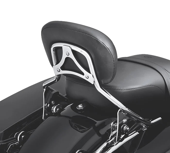 Harley-Davidson® H-D Detachables Sissy Bar Upright