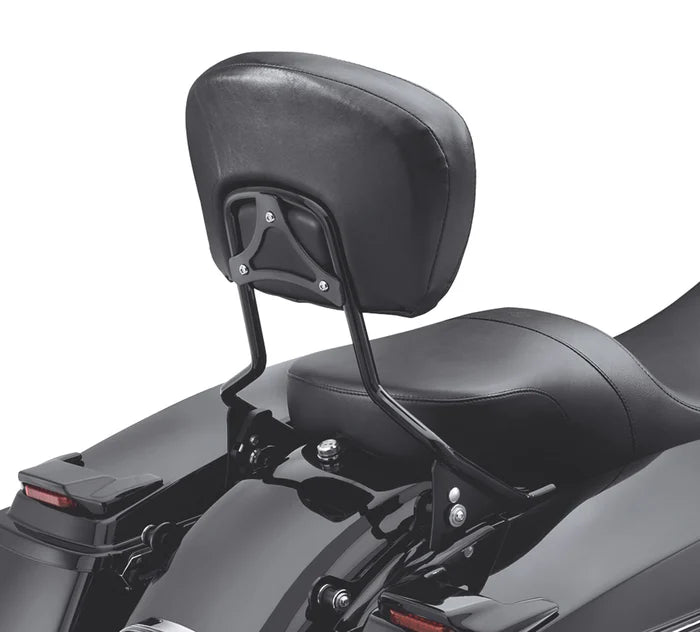 Harley-Davidson® H-D Detachables Sissy Bar Upright