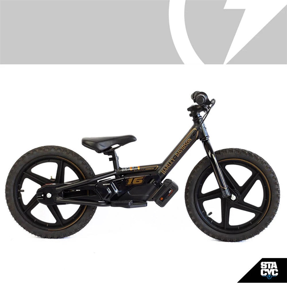 Harley-Davidson® Brushless IRONe Electric 16E Stacyc Bike - Black/Gold