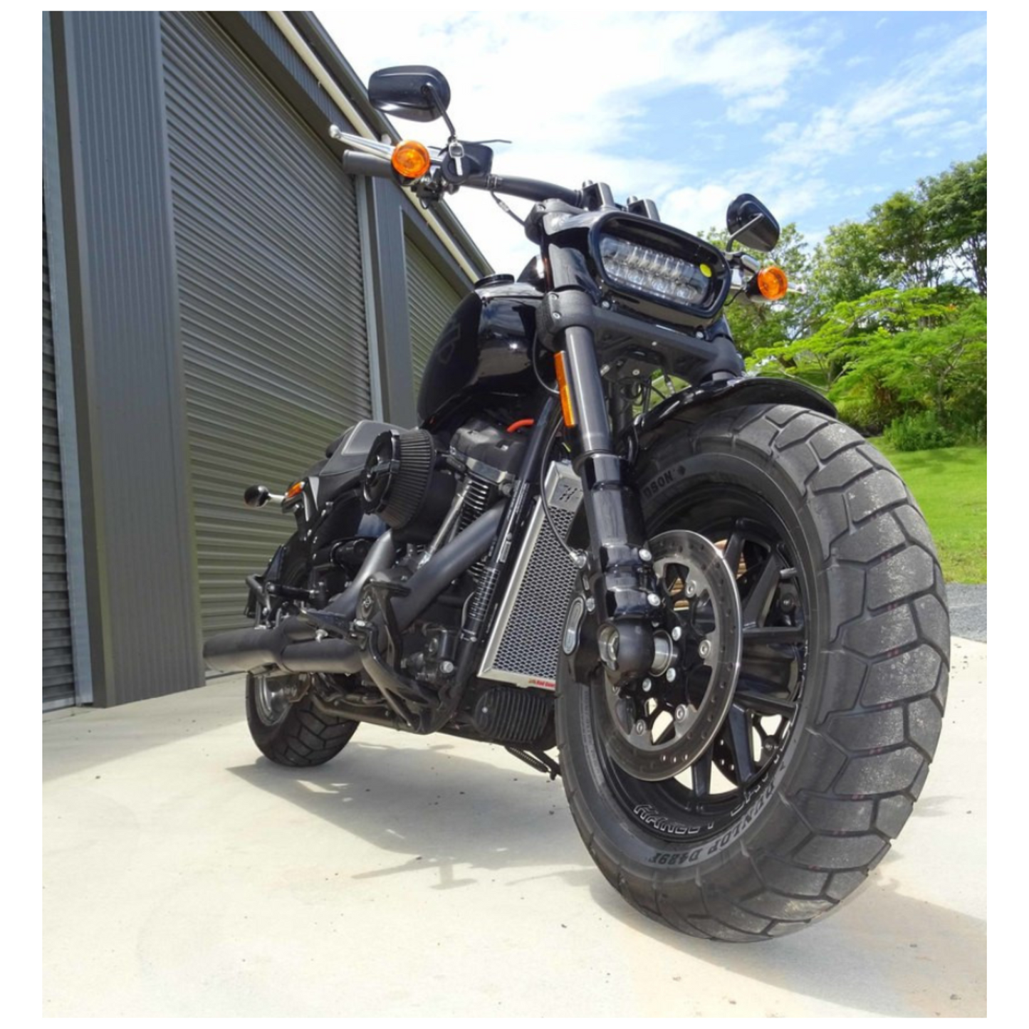 M8 Softail Oil Cooler Protective Guard - Polished