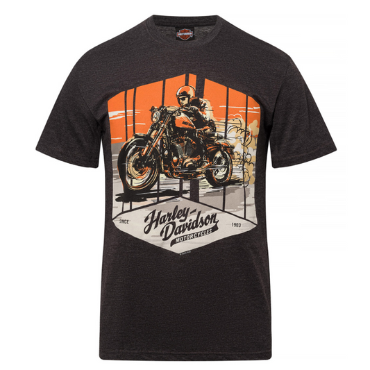 Gasoline Alley Harley-Davidson® Dealer Tee - Drifter