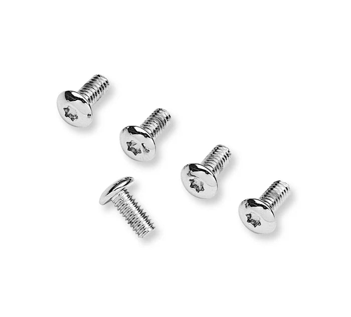 Harley-Davidson® Timer Cover Screw Kit