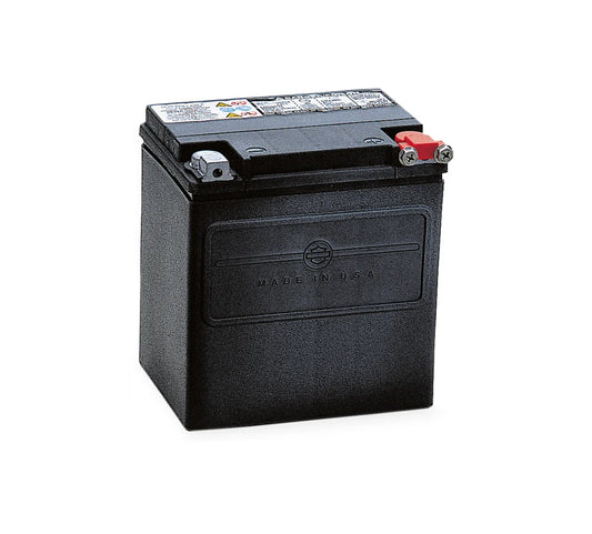 Harley-Davidson® AGM Original Equipment Battery - Touring / Trike