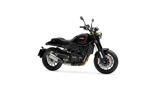 2025 Harley-Davidson X™500