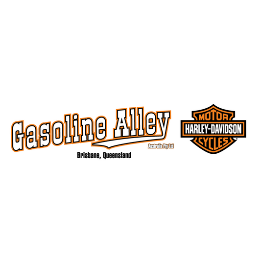 Harley-Davidson® Original Saddlebag Guard Rail