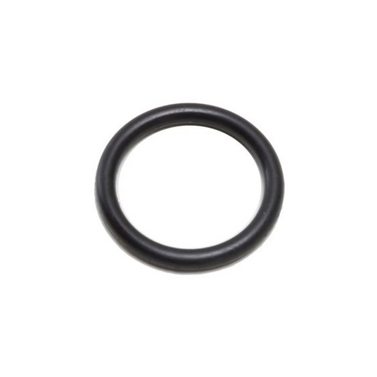 Harley-Davidson® Drain Plug O-Ring - XG & Rev Max