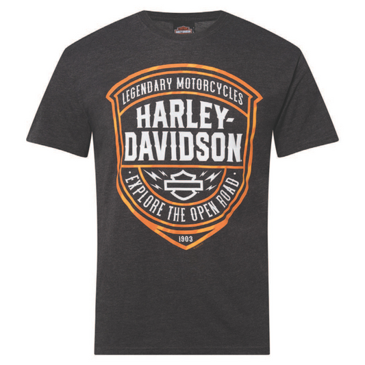 Gasoline Alley Harley-Davidson® Dealer Tee - Vanguard