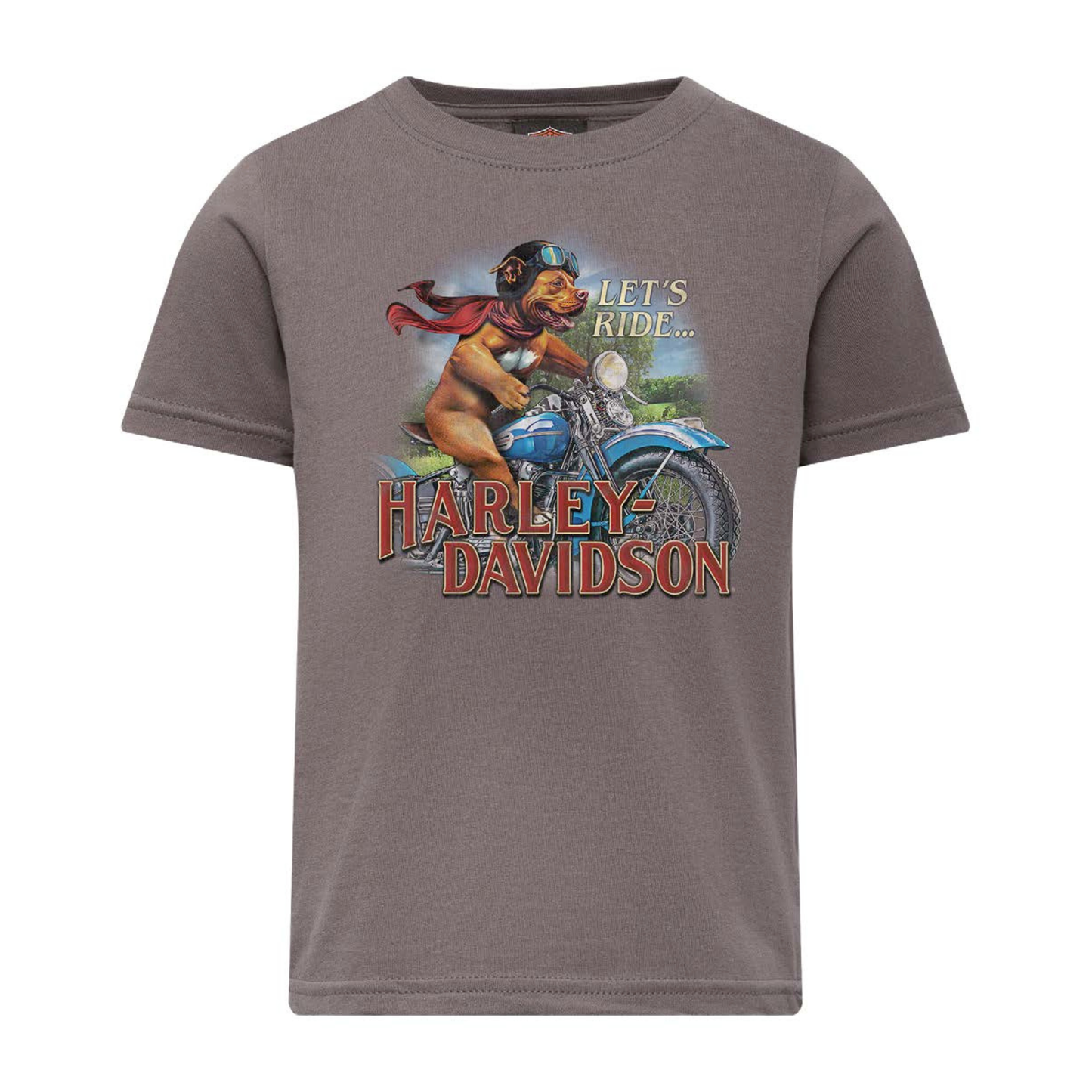 Gasoline Alley Harley-Davidson® Kids' Dealer Tee - Bandit