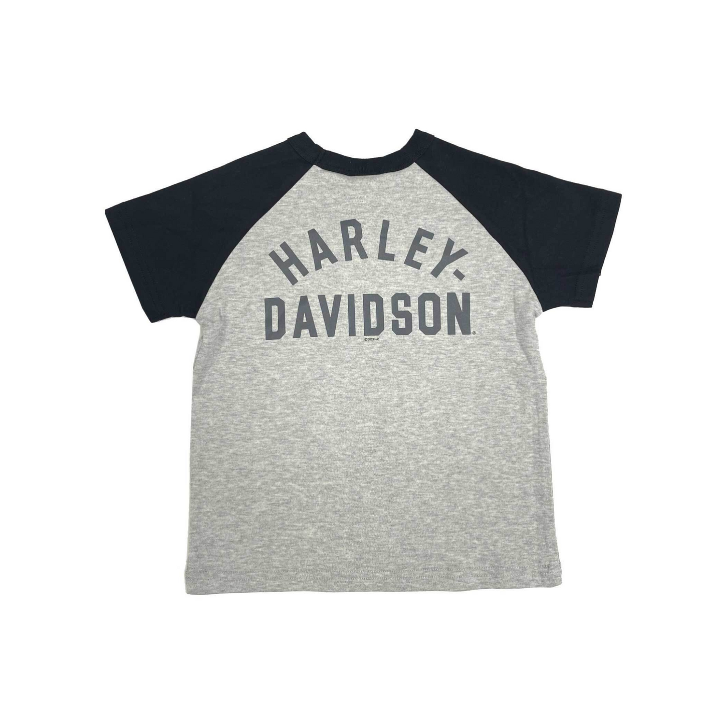 Harley-Davidson® Boys' Colorblocked Short Sleeve Raglan Tee - Grey