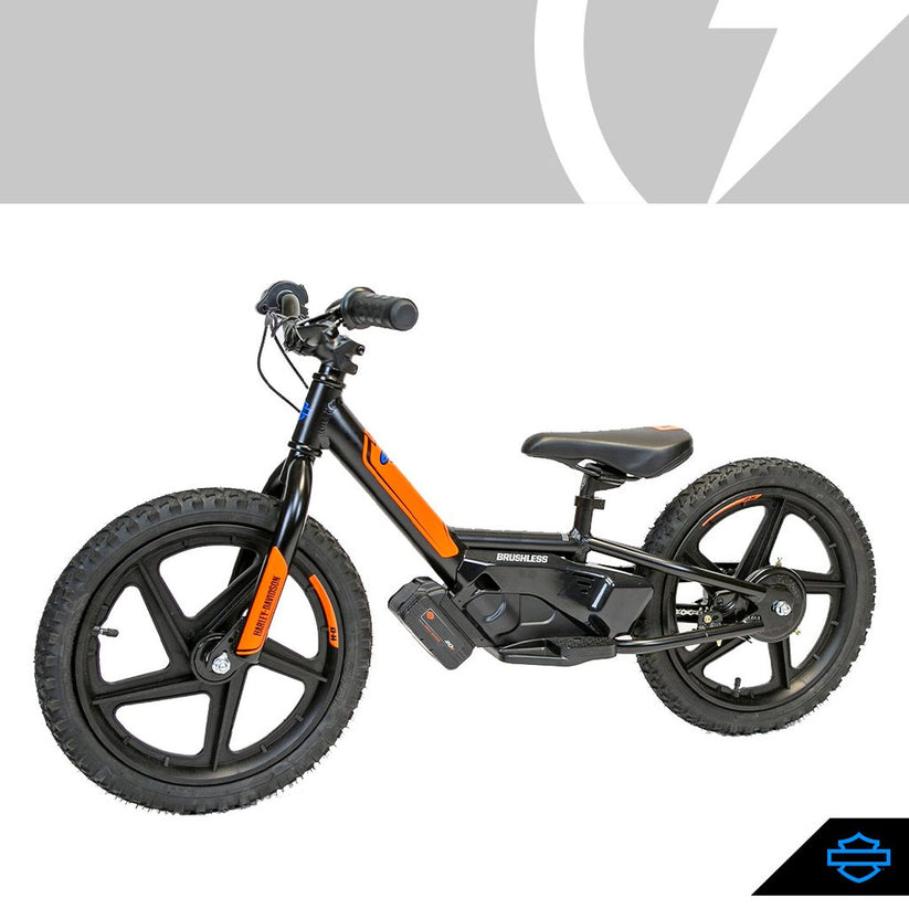 ebay schwinn bicycles